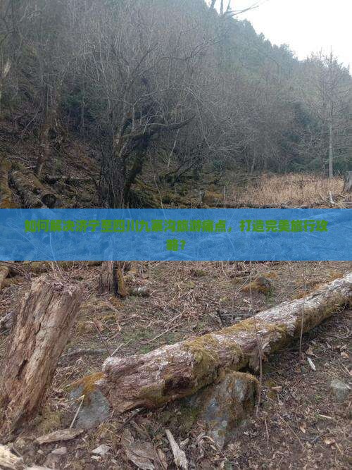 如何解决济宁至四川九寨沟旅游痛点，打造完美旅行攻略？