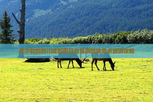 库尔勒到四川成都四日自驾游路线景点旅游攻略