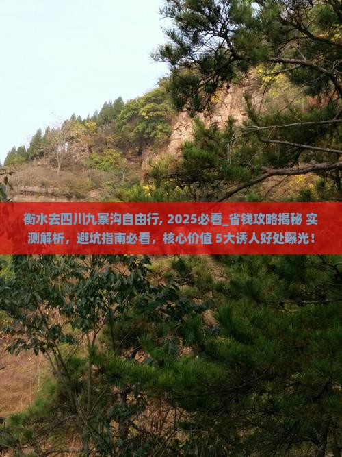 衡水去四川九寨沟自由行