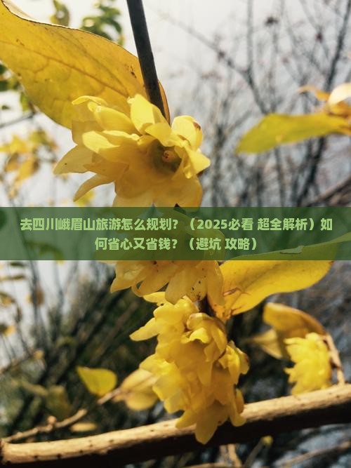 十堰去四川峨眉山旅游