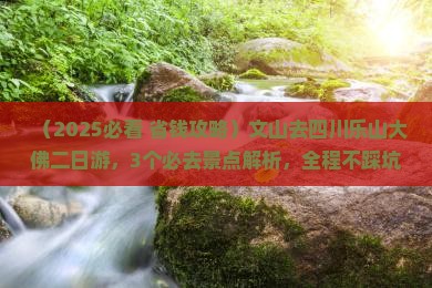 文山去四川乐山大佛二日游