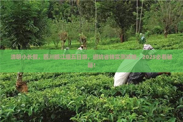 清明节到四川都江堰五日游