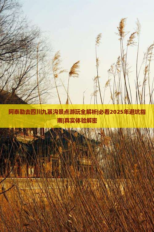 阿泰勒去四川九寨沟景点 阿泰勒去四川九寨沟景点