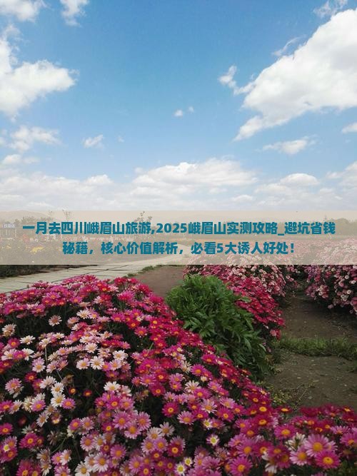 一月去四川峨眉山旅游