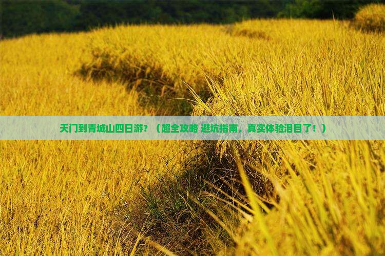 天门到四川青城山四日游