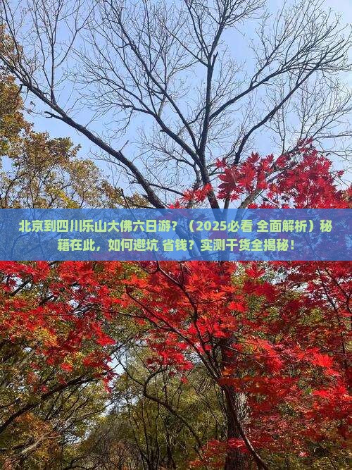 北京到四川乐山大佛六日游