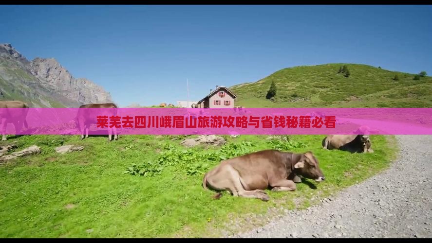 莱芜去四川峨眉山团体旅游