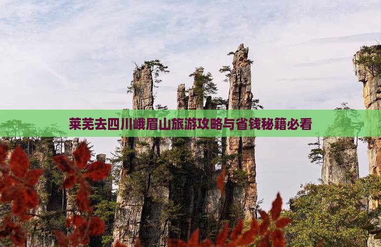 莱芜去四川峨眉山团体旅游