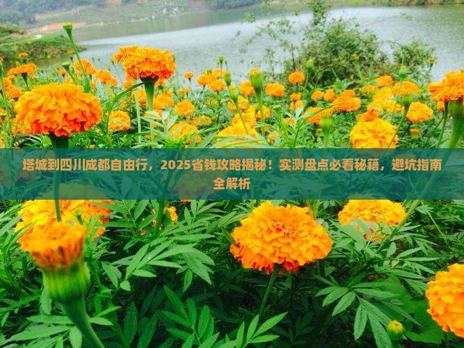 塔城到四川成都自由团