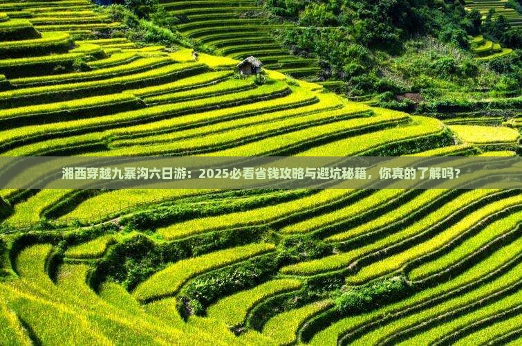 湘西去四川九寨沟六日游