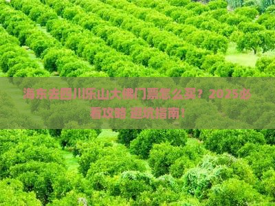 海东去四川乐山大佛门票