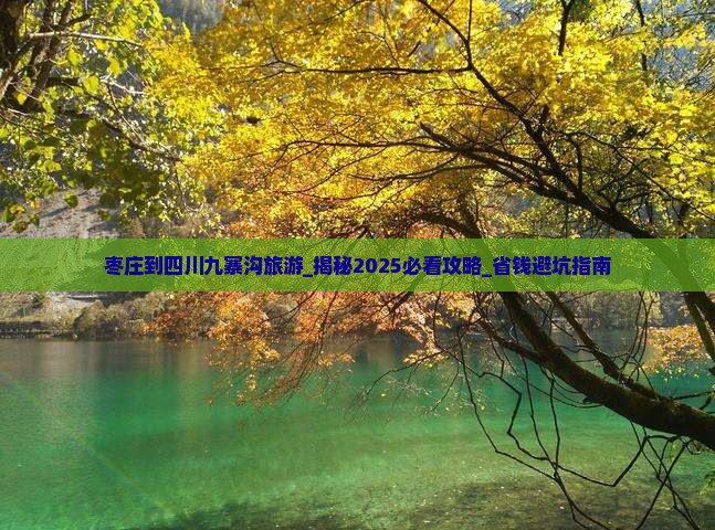 枣庄到四川九寨沟旅游