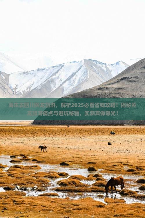 海东去四川黄龙旅游