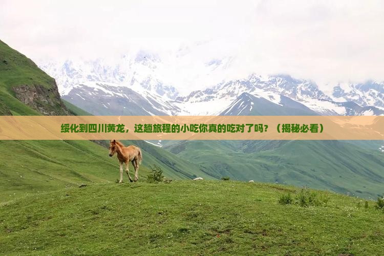 绥化到四川黄龙旅游小吃
