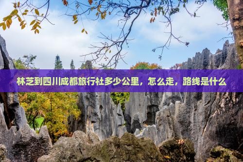 林芝到四川成都旅行社