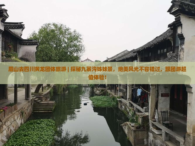 眉山去四川黄龙团体旅游