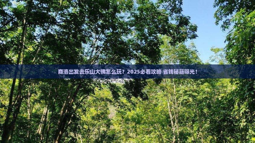 商洛去四川乐山大佛旅行社