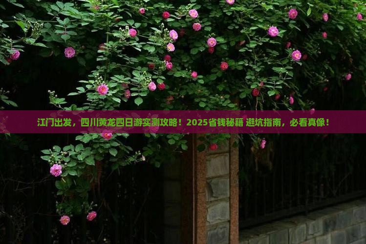 江门去四川黄龙四日游