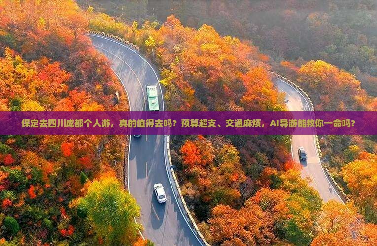 保定去四川成都个人游