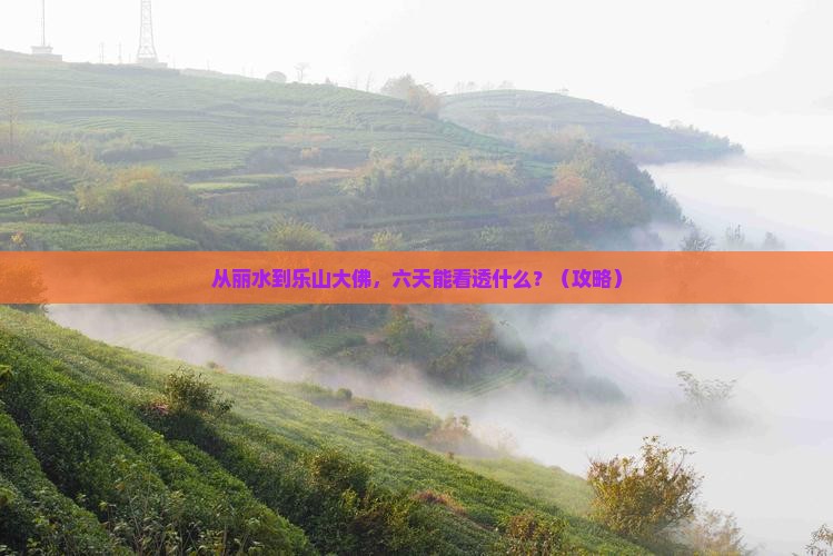 丽水到四川乐山大佛六日游