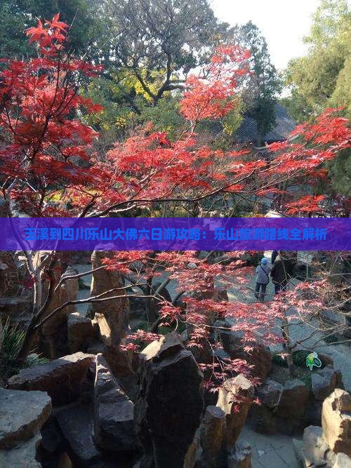 玉溪到四川乐山大佛六日游