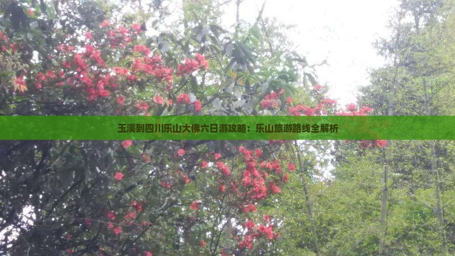 玉溪到四川乐山大佛六日游