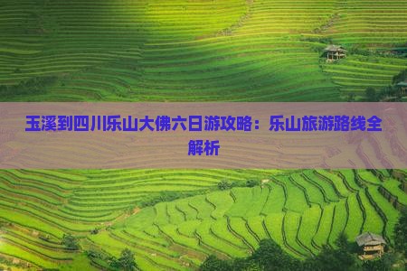 玉溪到四川乐山大佛六日游