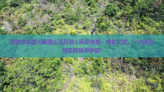 张家界去四川峨眉山五日游