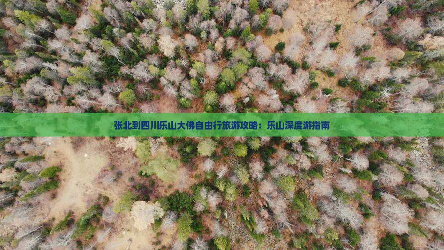 张北去四川乐山大佛自由行