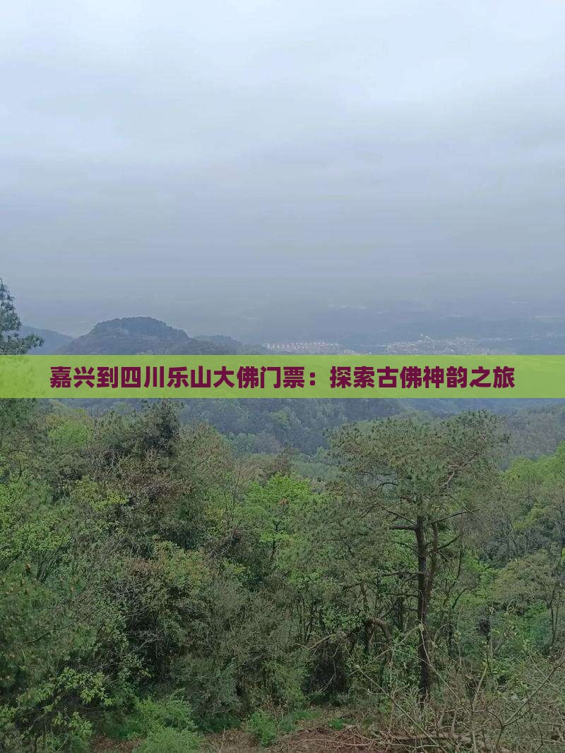 嘉兴到四川乐山大佛门票：探索古佛神韵之旅