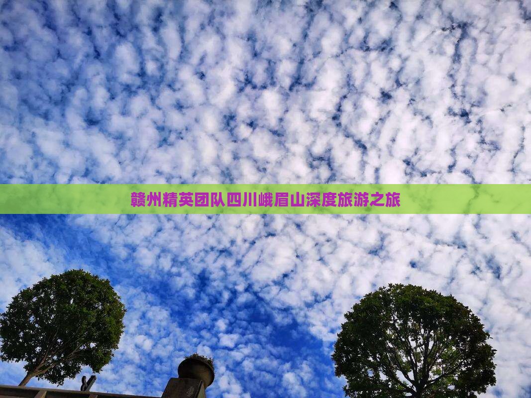 赣州精英团队四川峨眉山深度旅游之旅