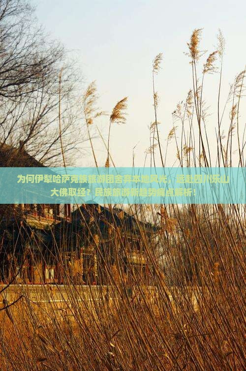 为何伊犁哈萨克族旅游团舍弃本地风光，远赴四川乐山大佛取经？民族旅游新趋势痛点解析！