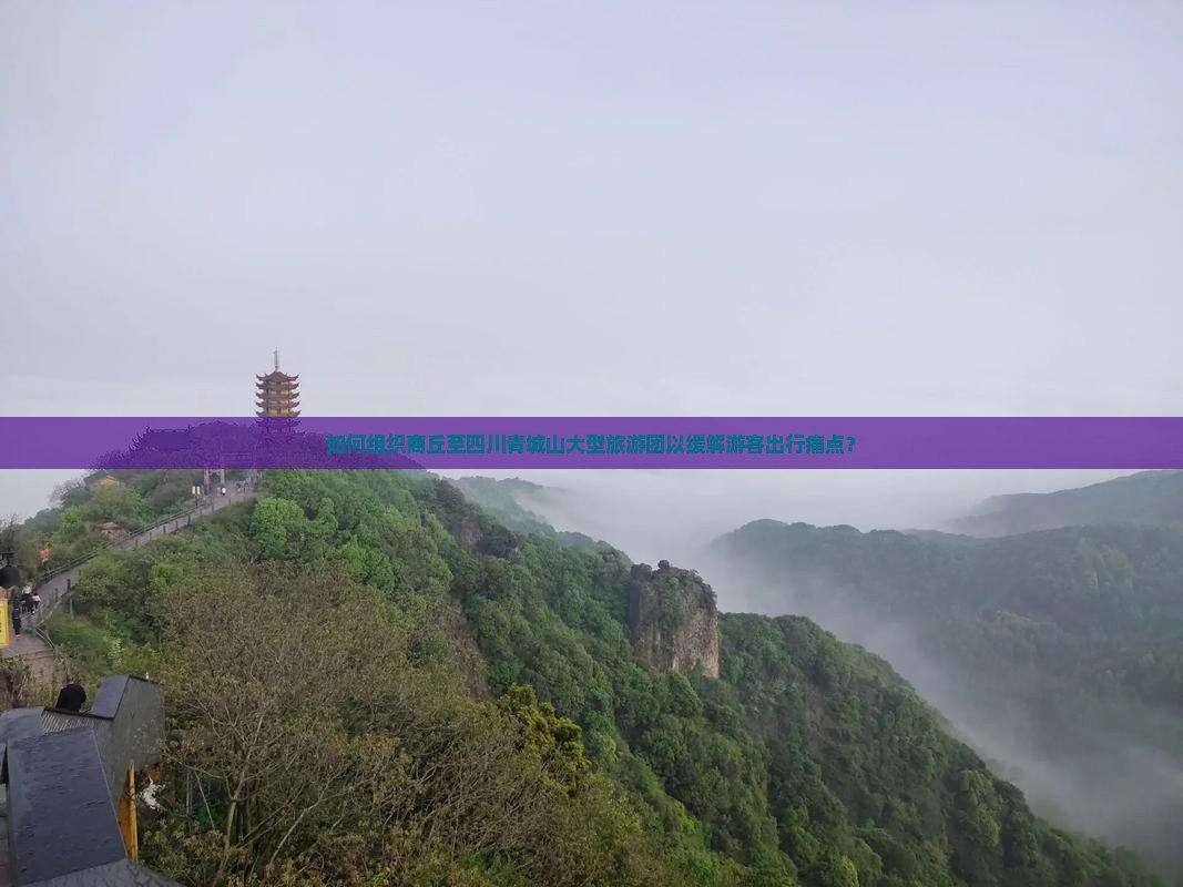 如何组织商丘至四川青城山大型旅游团以缓解游客出行痛点？