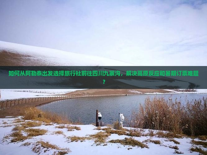 如何从阿勒泰出发选择旅行社前往四川九寨沟，解决高原反应和暑期订票难题？