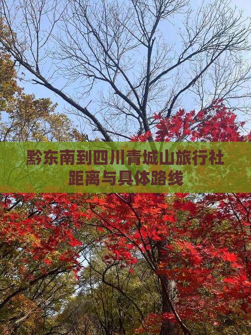 黔东南到四川青城山旅行社距离与具体路线