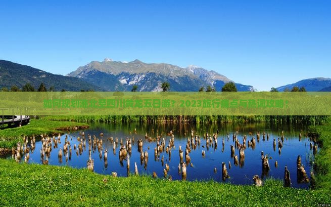 如何规划淮北至四川黄龙五日游？2023旅行痛点与热词攻略！