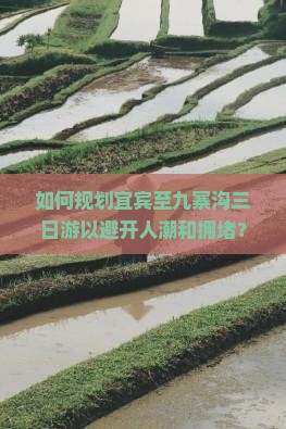 如何规划宜宾至九寨沟三日游以避开人潮和拥堵？