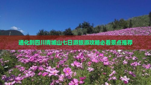 通化到四川青城山七日游旅游攻略必看景点推荐