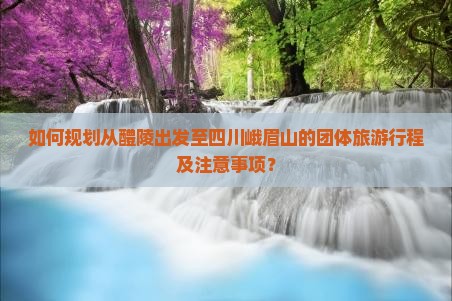 如何规划从醴陵出发至四川峨眉山的团体旅游行程及注意事项？