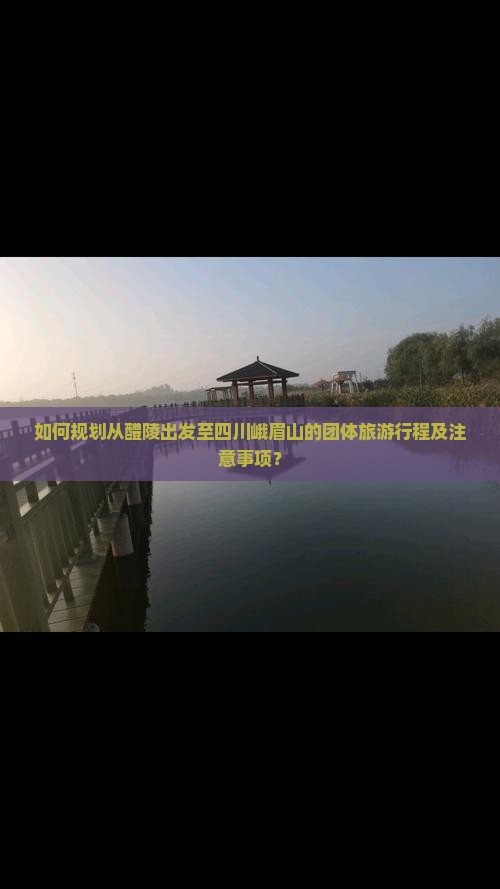 如何规划从醴陵出发至四川峨眉山的团体旅游行程及注意事项？