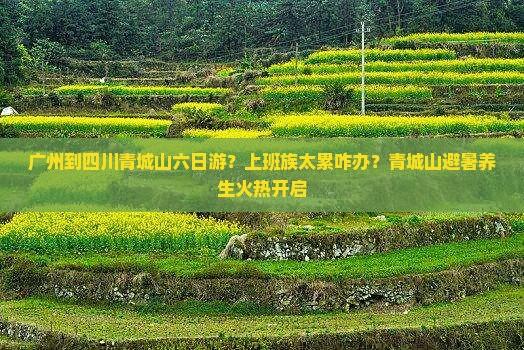 广州到四川青城山六日游？上班族太累咋办？青城山避暑养生火热开启