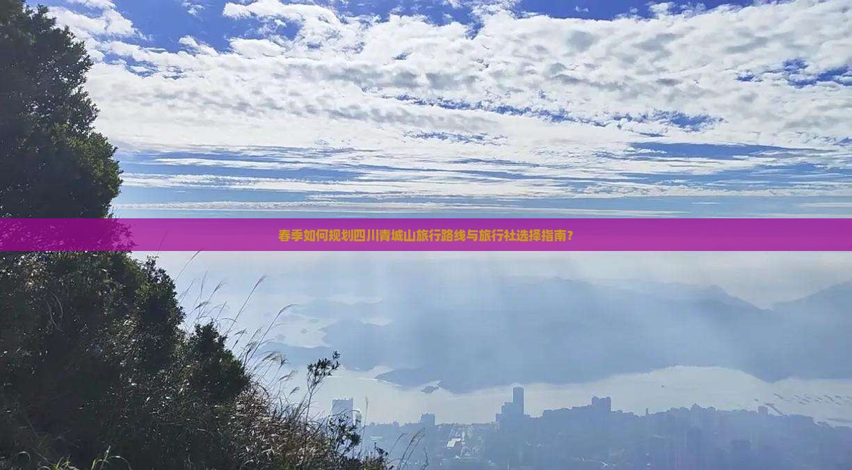春季如何规划四川青城山旅行路线与旅行社选择指南？