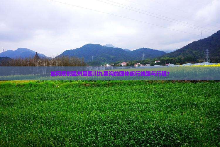 如何规划温州至四川九寨沟的团体旅行线路与行程？