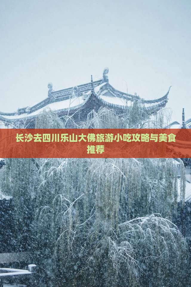 长沙去四川乐山大佛旅游小吃攻略与美食推荐