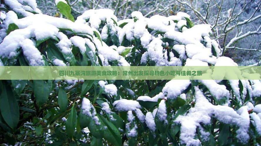 四川九寨沟旅游美食攻略：常州出发探寻特色小吃与佳肴之旅