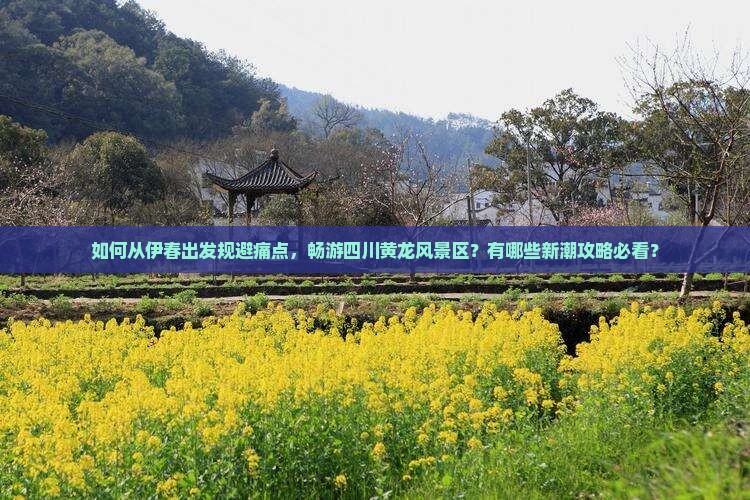 如何从伊春出发规避痛点，畅游四川黄龙风景区？有哪些新潮攻略必看？