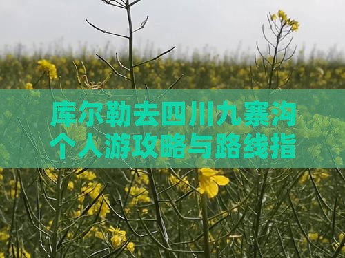 库尔勒去四川九寨沟个人游攻略与路线指南