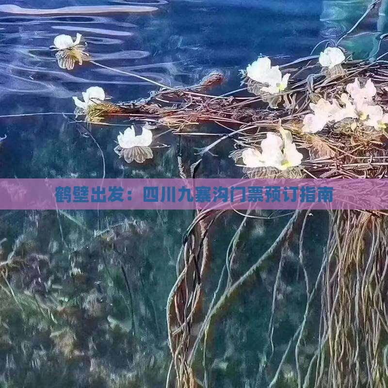 鹤壁出发：四川九寨沟门票预订指南
