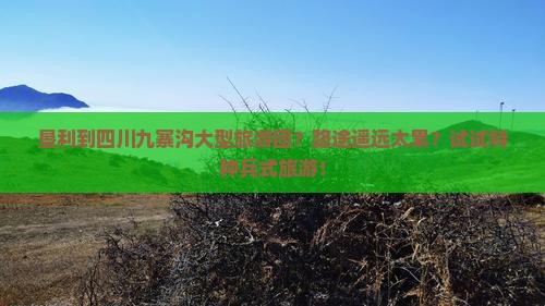 垦利到四川九寨沟大型旅游团？路途遥远太累？试试特种兵式旅游！