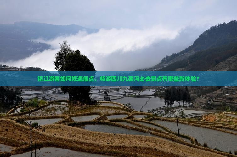 镇江游客如何规避痛点，畅游四川九寨沟必去景点有哪些新体验？